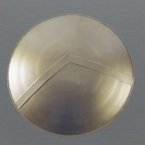 300MovieSpartanShield