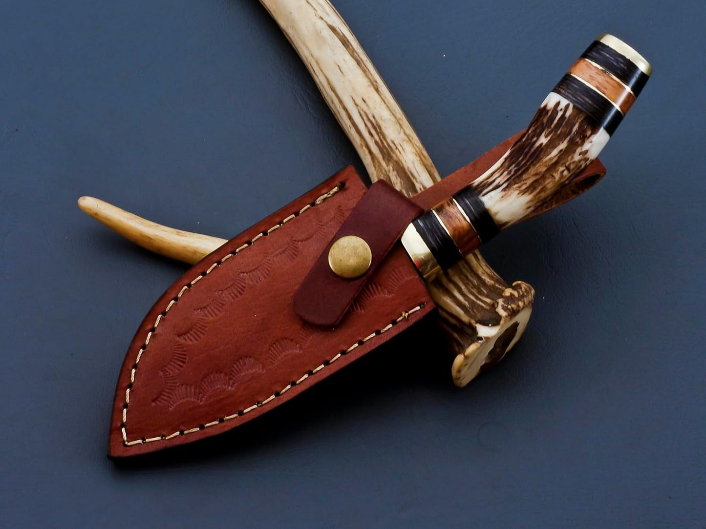 Gut Hook Damascus Hunting 8" Knife Stag Horn Handle