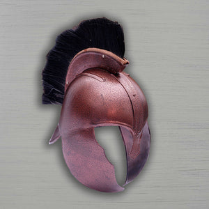 TroyHelmetfromMovie-3