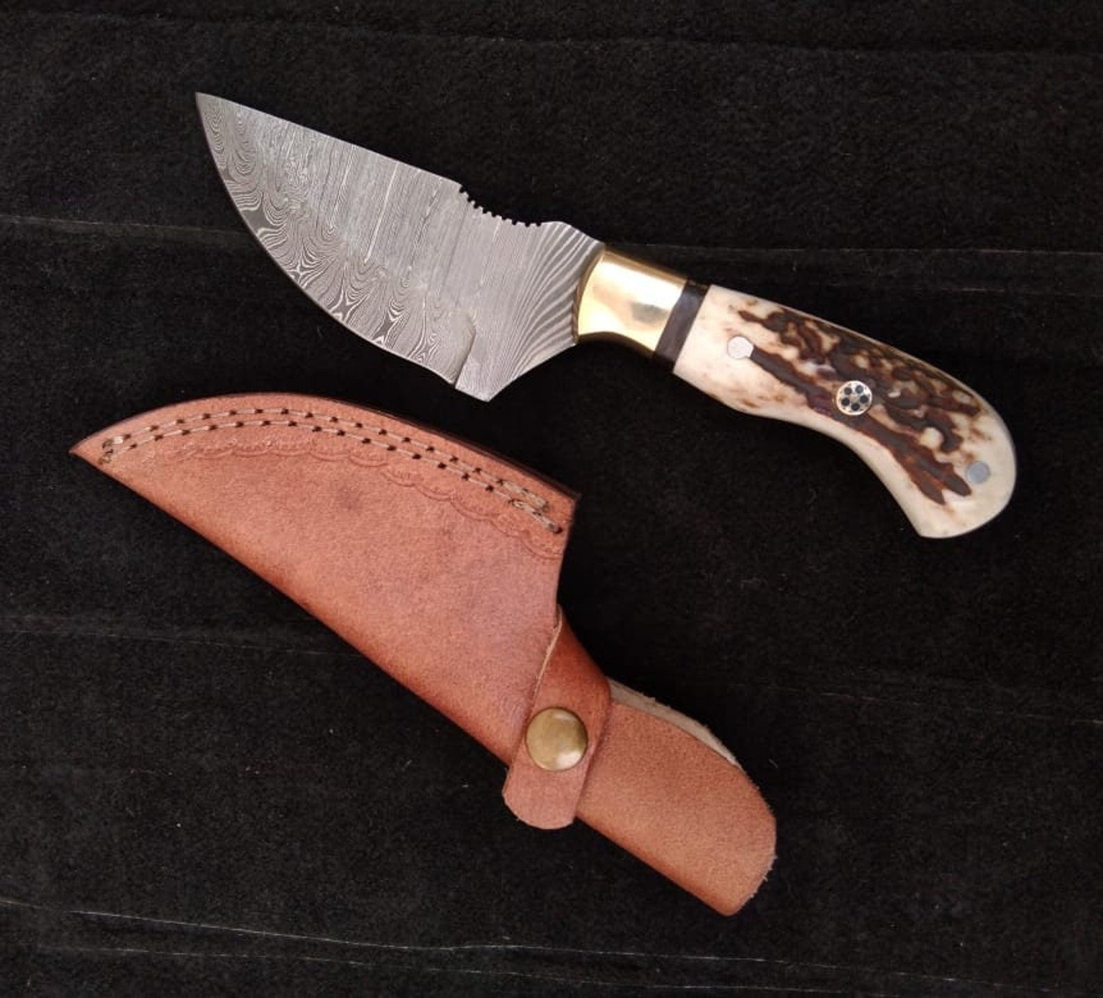 Damascus Steel Skinning Knife with Stag Horn Handle