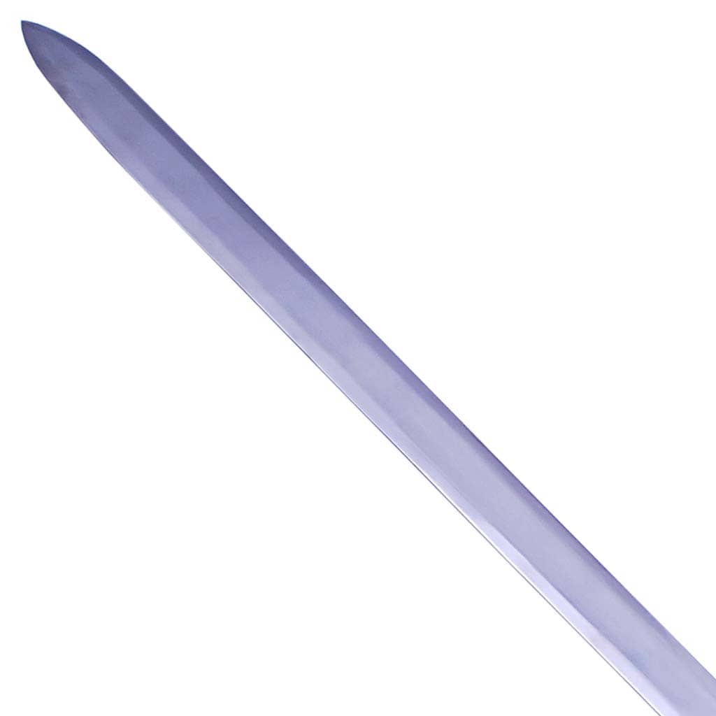 ThunderCat Sword of Omens