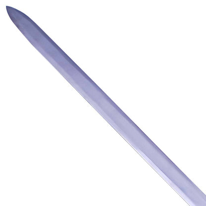 ThunderCat Sword of Omens