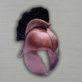 TroyHelmetfromMovie-3