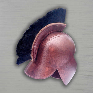 TroyHelmetfromMovie