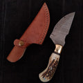 Damascus Steel Skinning Knife with Stag Horn Handle